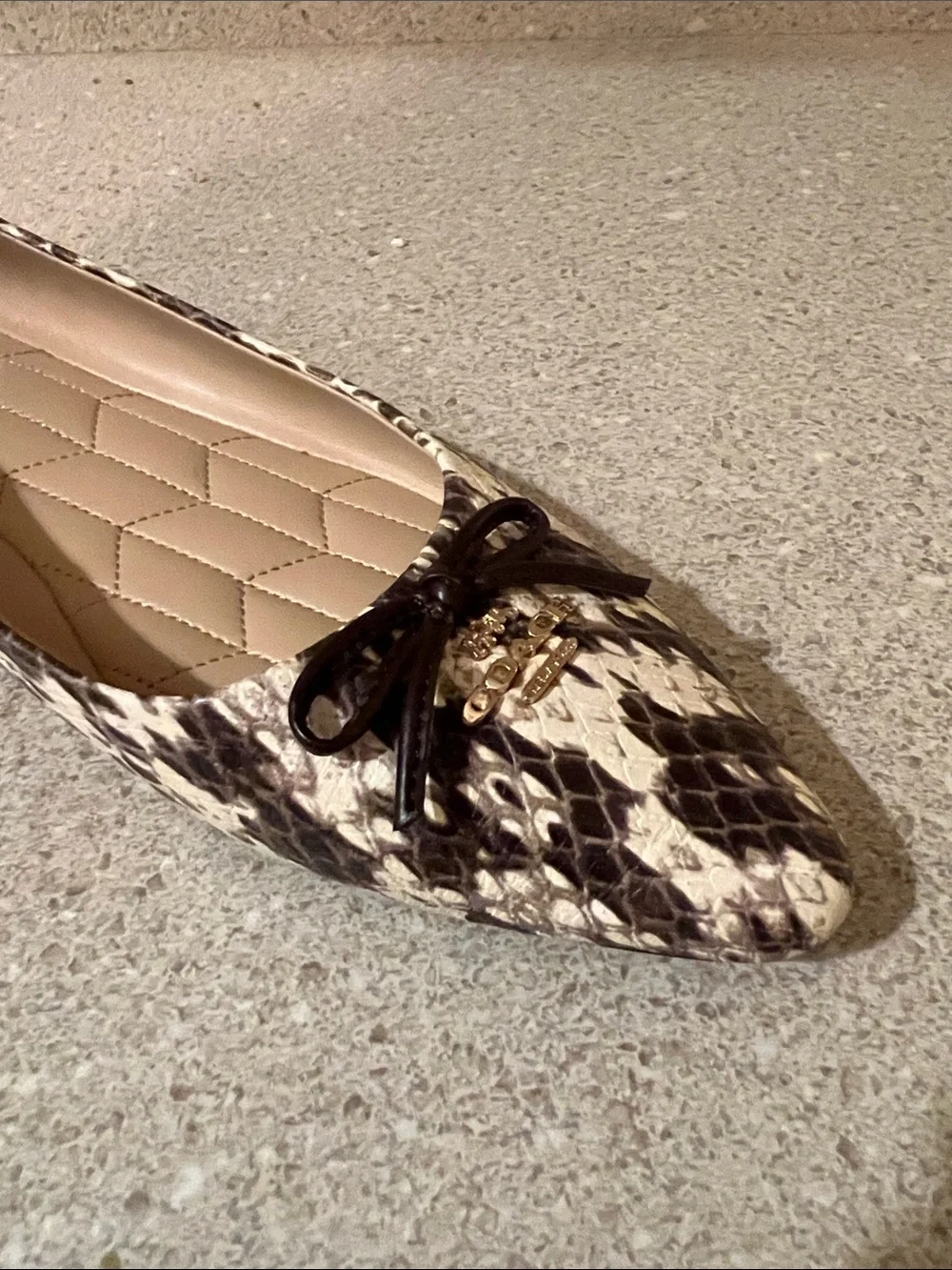 Coach Annabel Flats Snake